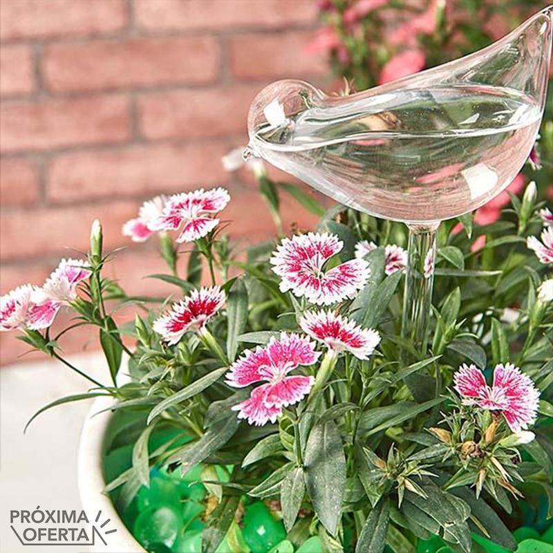 2-Piece Self-Watering Glass Plant Dispenser Set - Water and Decorate Your Plants!