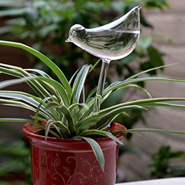 2-Piece Self-Watering Glass Plant Dispenser Set - Water and Decorate Your Plants!