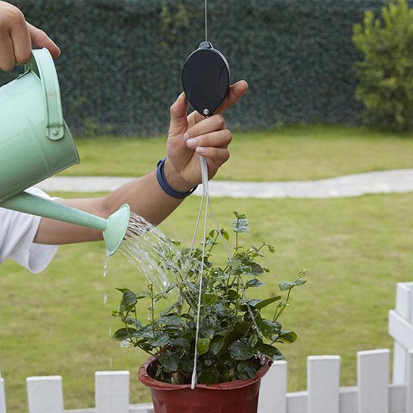 2 Hanging Plant Hooks - The Easiest Way to Care for Hanging Plants!